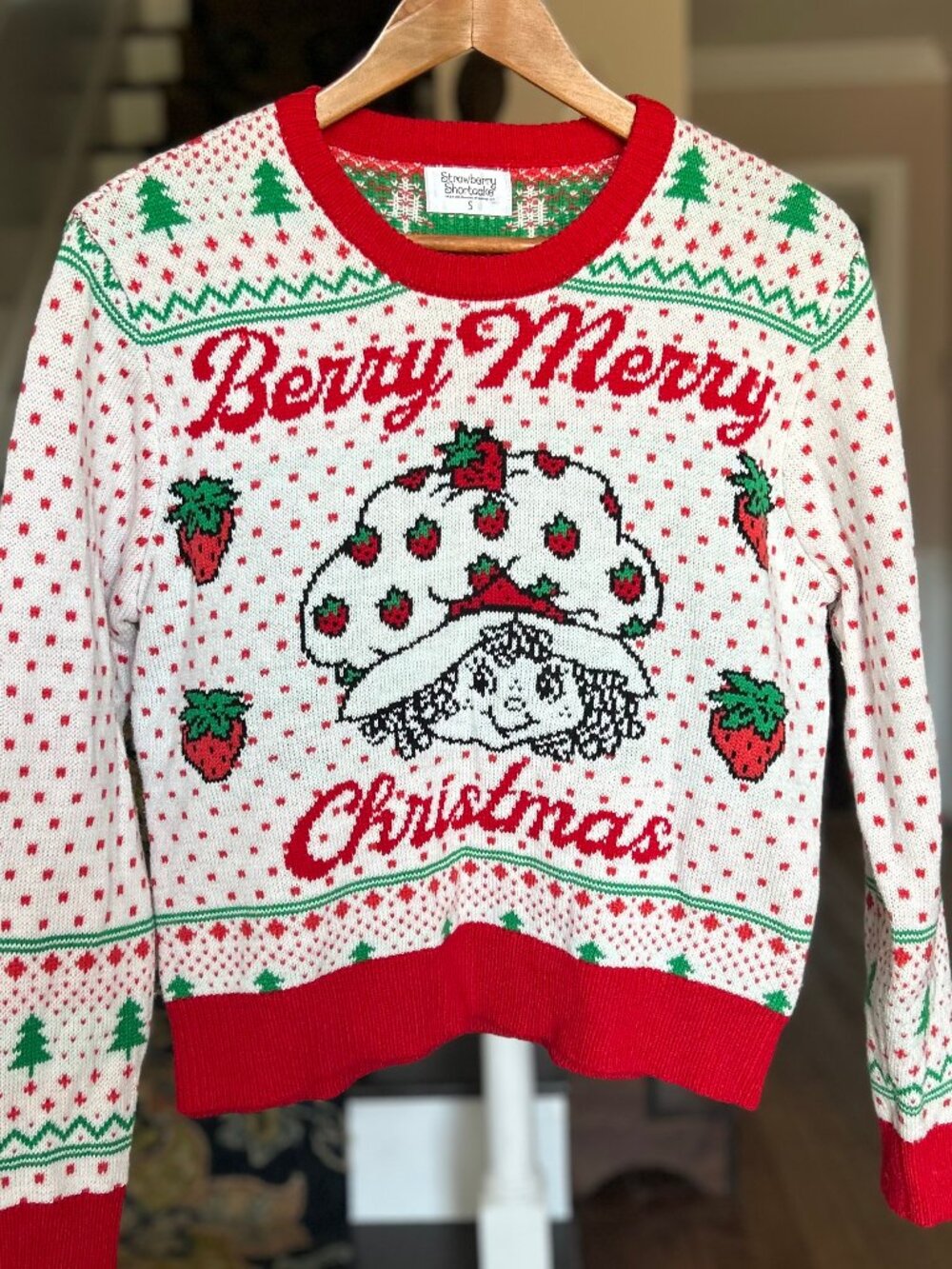 Strawberry Shortcake Berry Merry Christmas Fair Isle Sweater Rare Find! Sz Small